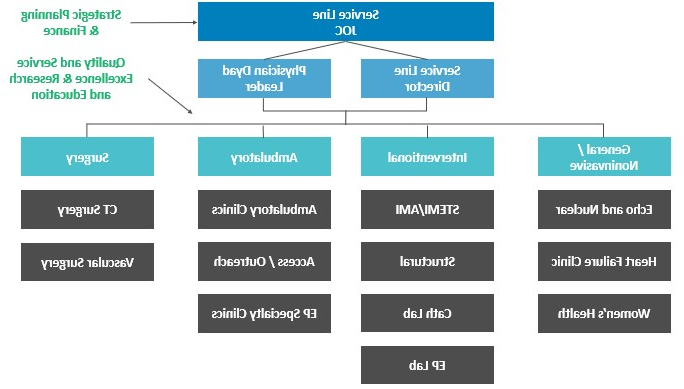 临床一体化bet8娱乐线治理模式